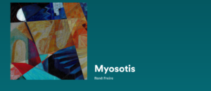 Conheça a música Myosotis, do artista Renê Freire